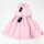 Polo Ralph Lauren 313934188002 Oxford sleeveless casual dress Bath Pink size 4