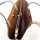 Coach Willow tote bag, beige, smooth leather, womens, 34/40 × 28 × 16 cm, C0691