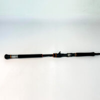 Cinnetic Rextail Catfish Float Tube 190, Welsrute, 1.90 m, bis 180 g, 8595-190XH