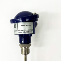 2x WIKA TP1-6-200, Temperaturfühler, 1x PT100 IEC 751, E52-EP6-200-T2-CG1/2G-B