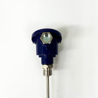 2x WIKA TP1-6-200, Temperaturfühler, 1x PT100 IEC 751, E52-EP6-200-T2-CG1/2G-B