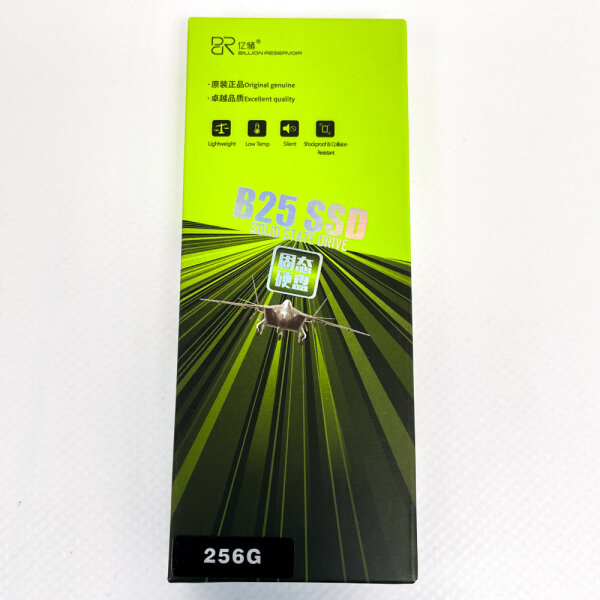 Billion Reservoir B25 SSD, 256 GB, SATA-Solid-State-Laufwerk
