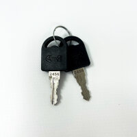 46x Mailbox lock CL-2456 cylinder lock with key
