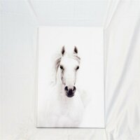 SUMGAR Horse Wall Art Bild Weiße Pferde Leinwand...