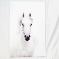 SUMGAR Horse Wall Art Bild Weiße Pferde Leinwand Bilder Galoppierendes Mustang