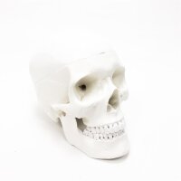 Gima-White, in 3 parts dismantled skull model, value...
