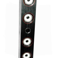 Primux TW01 speaker column with Bluetooth, 30 W, FM tuner, black